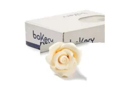 Rose Avorio Grande