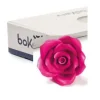 Rose Fucsia Grande