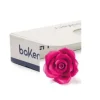 Rose Fucsia Medie