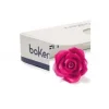 Rose Fucsia Piccole