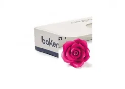 Rose Fucsia Piccole