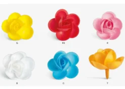 Rose Medio Piccole