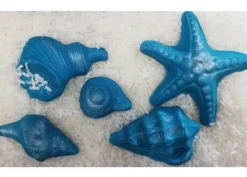 Set 5 conchiglie