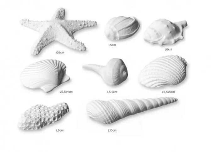 Set/8 Conchiglie bianche