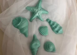 Set conchiglie decorate