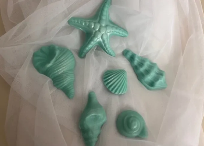 Set conchiglie decorate