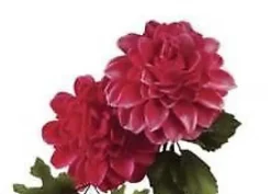 Stampo espulsione Dalia
