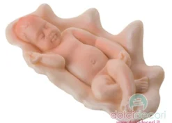 Stampo in silicone bimbo conchiglia