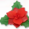 Stella Natale Ostia