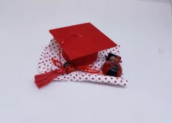 Topper Coccinella Pois