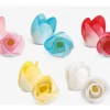 Tulipano Assortito Zucchero
